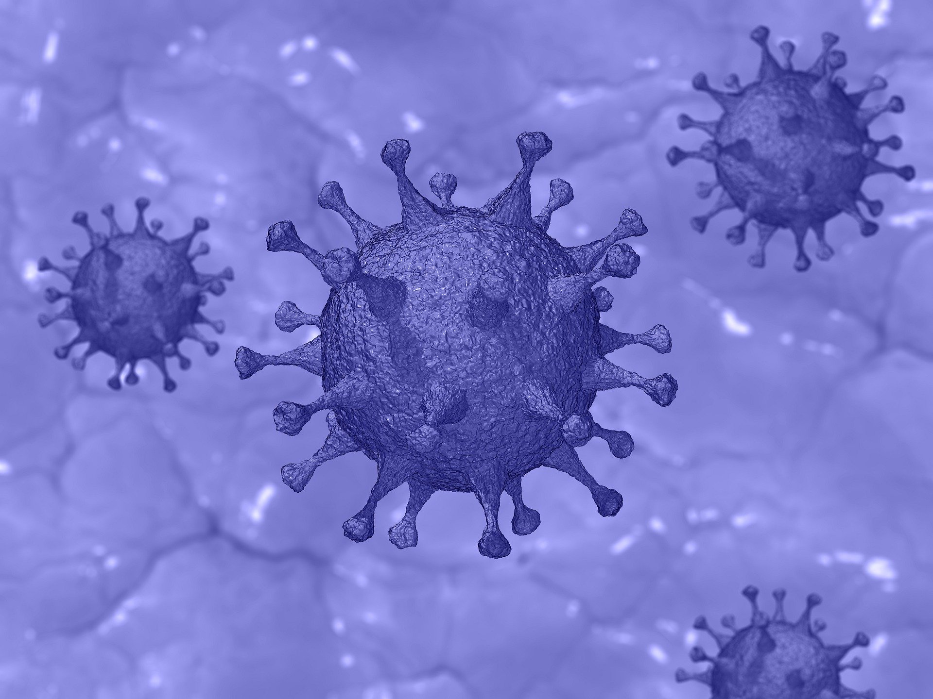 SARS-CoV-2 SARS-CoV-2