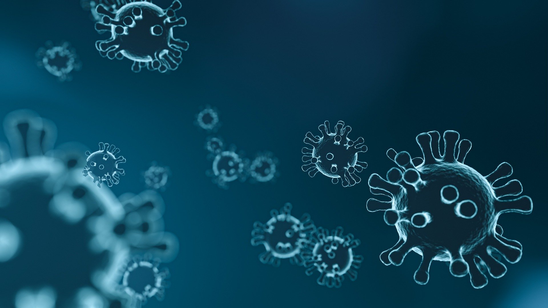coronavírus coronavírus