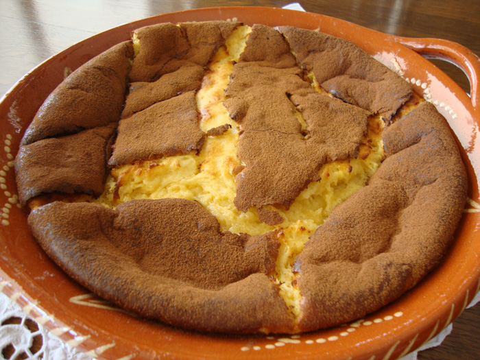 sericaia sericaia